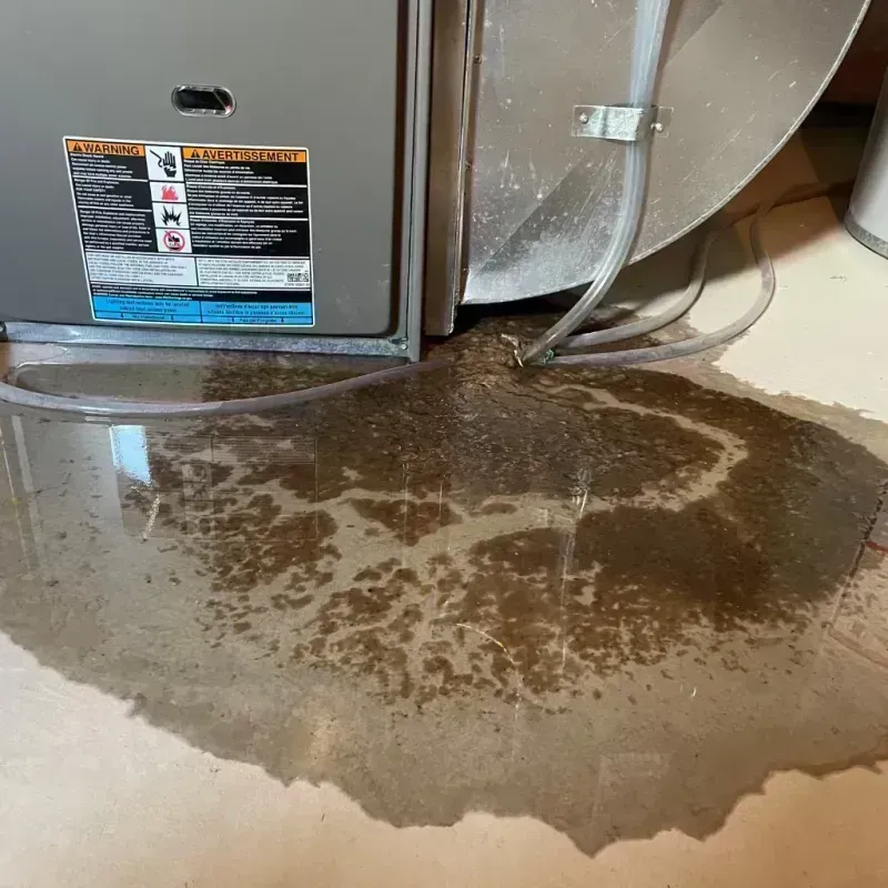 Appliance Leak Cleanup in Zeigler, IL